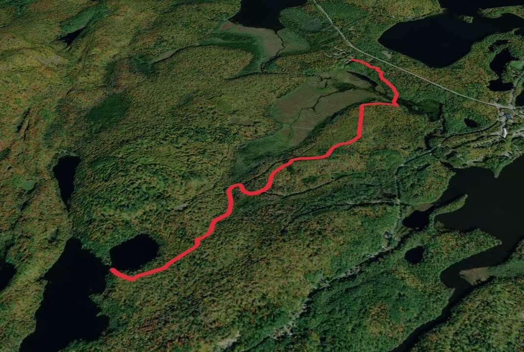 Black Pond via Wood and Waters Trail