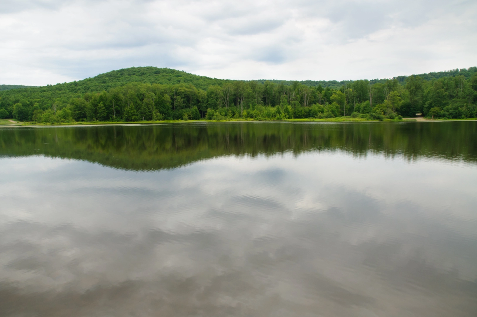 An image depicting the trail Penny Run Trail and its surrounding area.