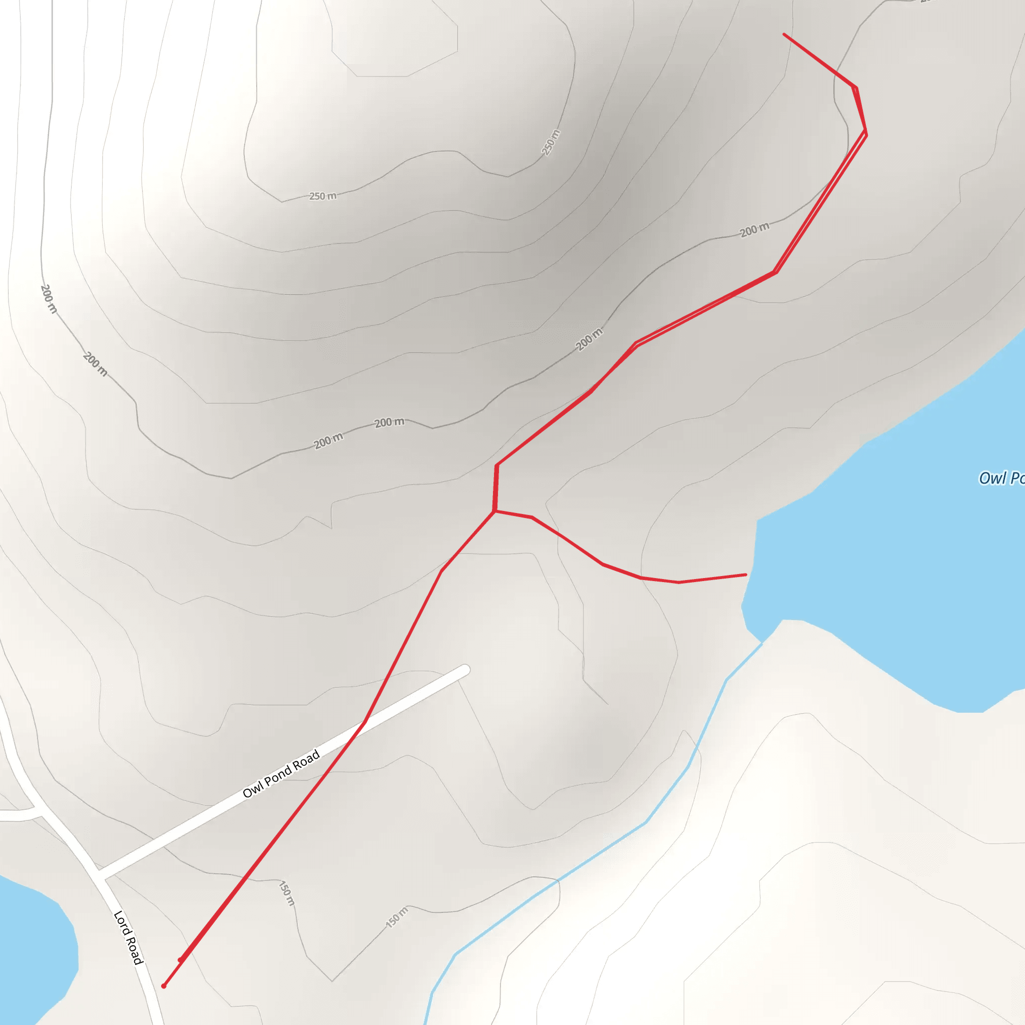 Owl Pond from Lord Road mobile static map