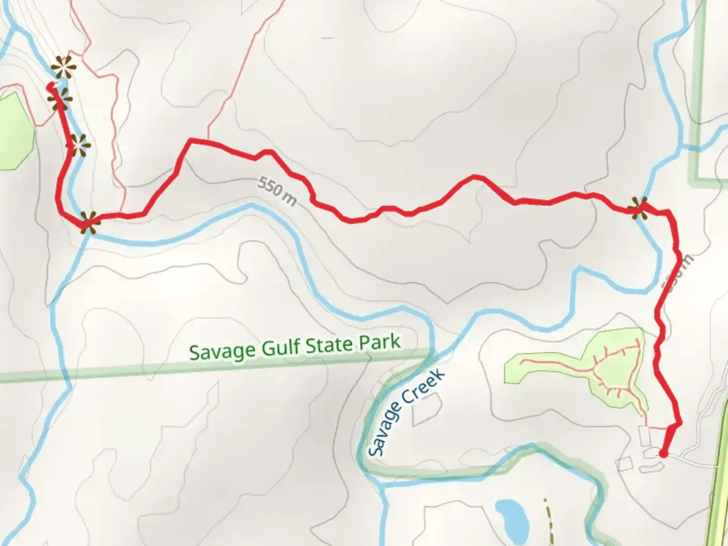 An image depicting the trail Savage Creek and Savage Falls Campground and its surrounding area.