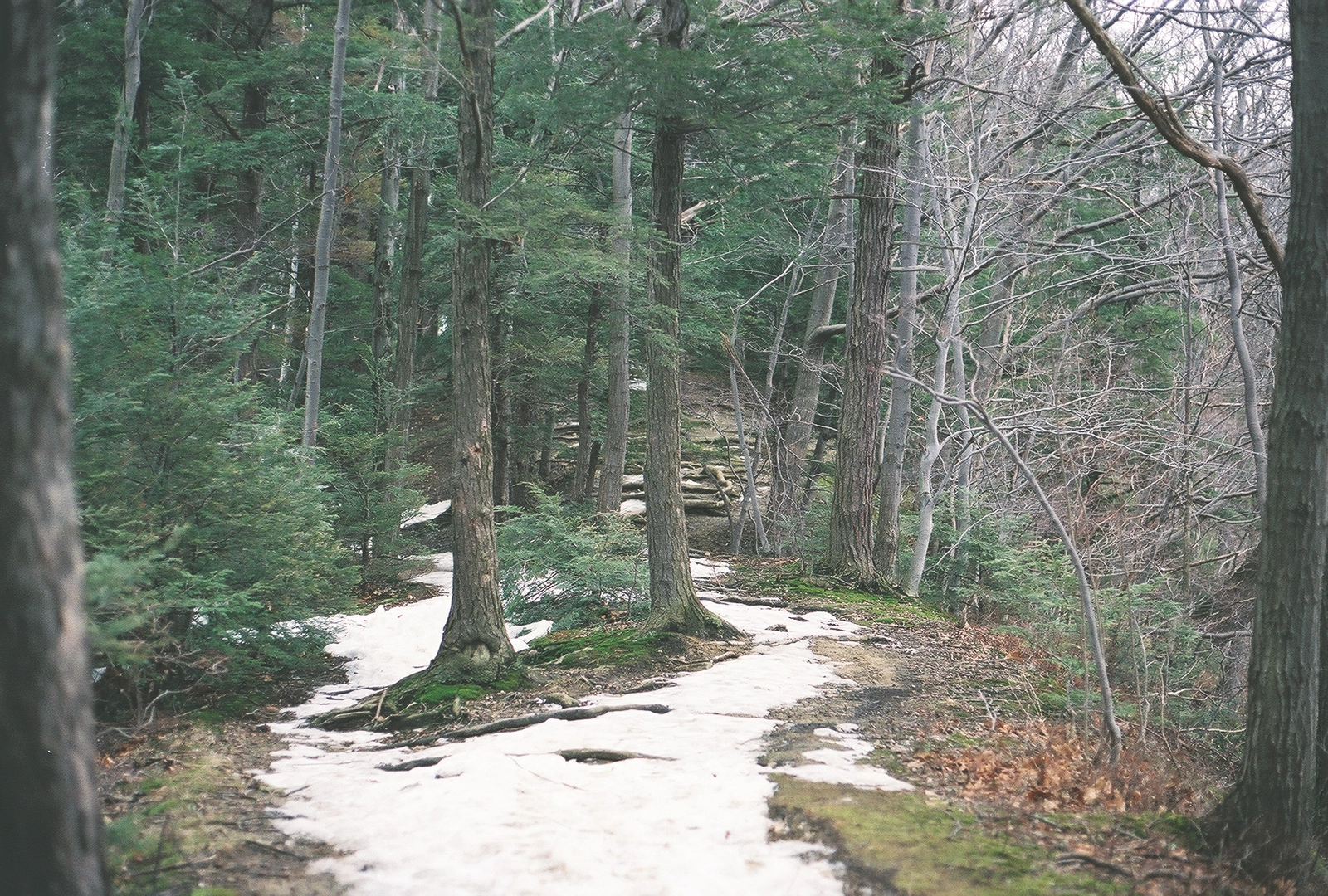 An image depicting the trail Fourmile Creek Trail and its surrounding area.