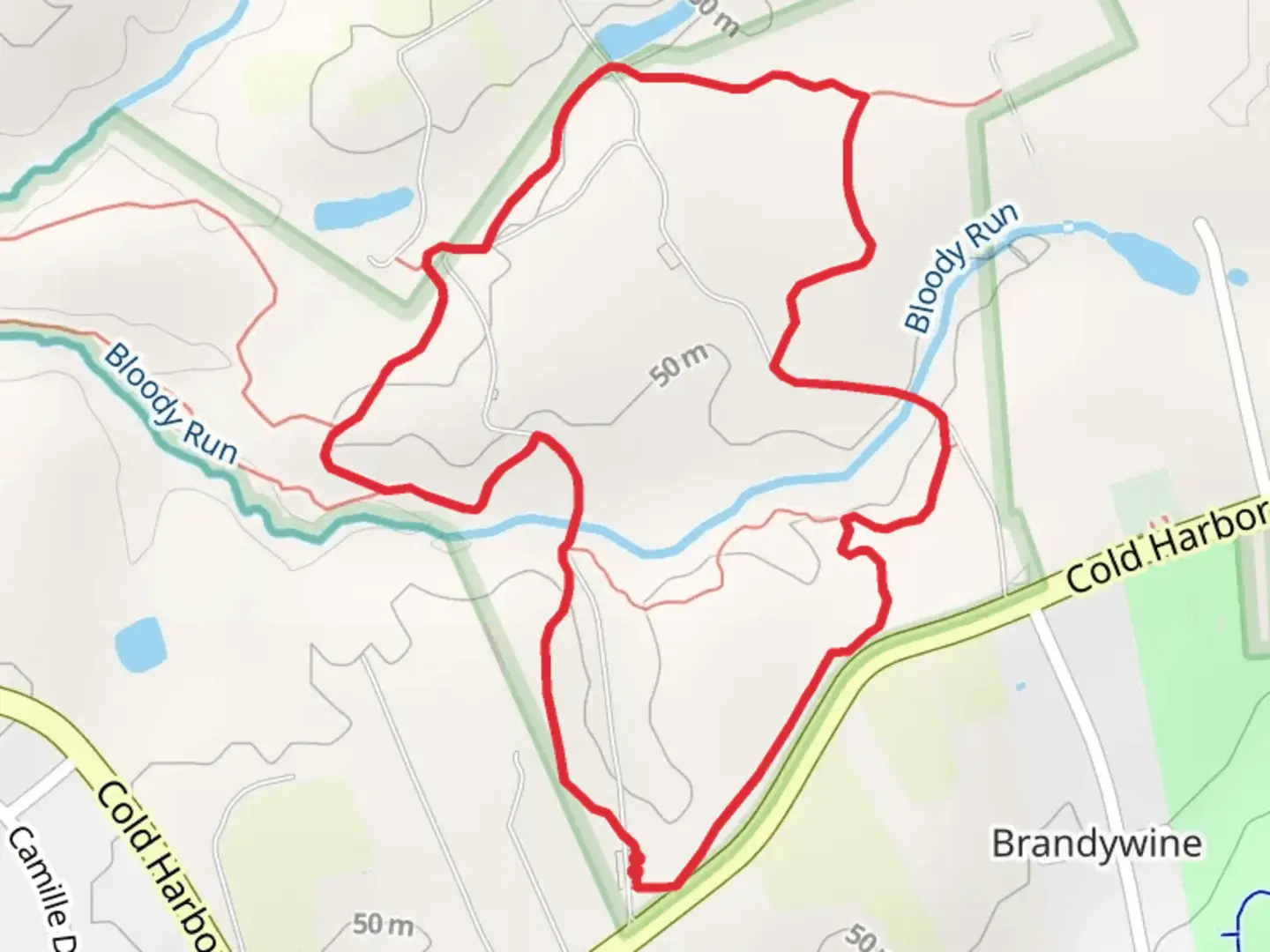 An image depicting the trail Main Trail and Extended Loop Trail and its surrounding area.