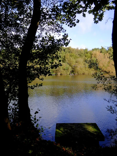 An image depicting the trail Fradley Reservoir and Rileyhill via Towing Path and its surrounding area.