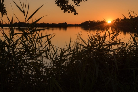De Dreef, De Zoom, Paardenbosch, Hollandsche Rading and Loosdrechtsche Plassen Loop
