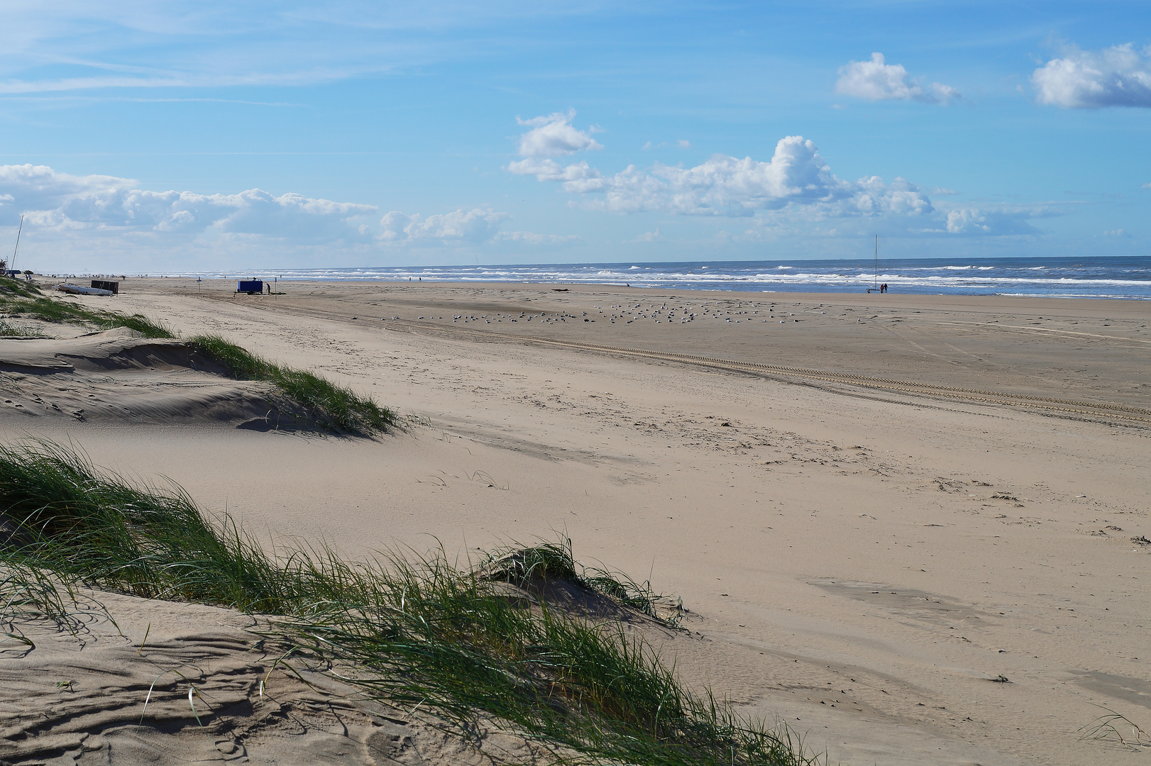 An image depicting the trail Castricum to Boothuisplein via Hoofweg and Meeuwenweg and its surrounding area.