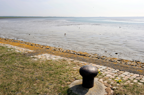 Vuurtoren to Nes via Hollumerbosch and De Schuur