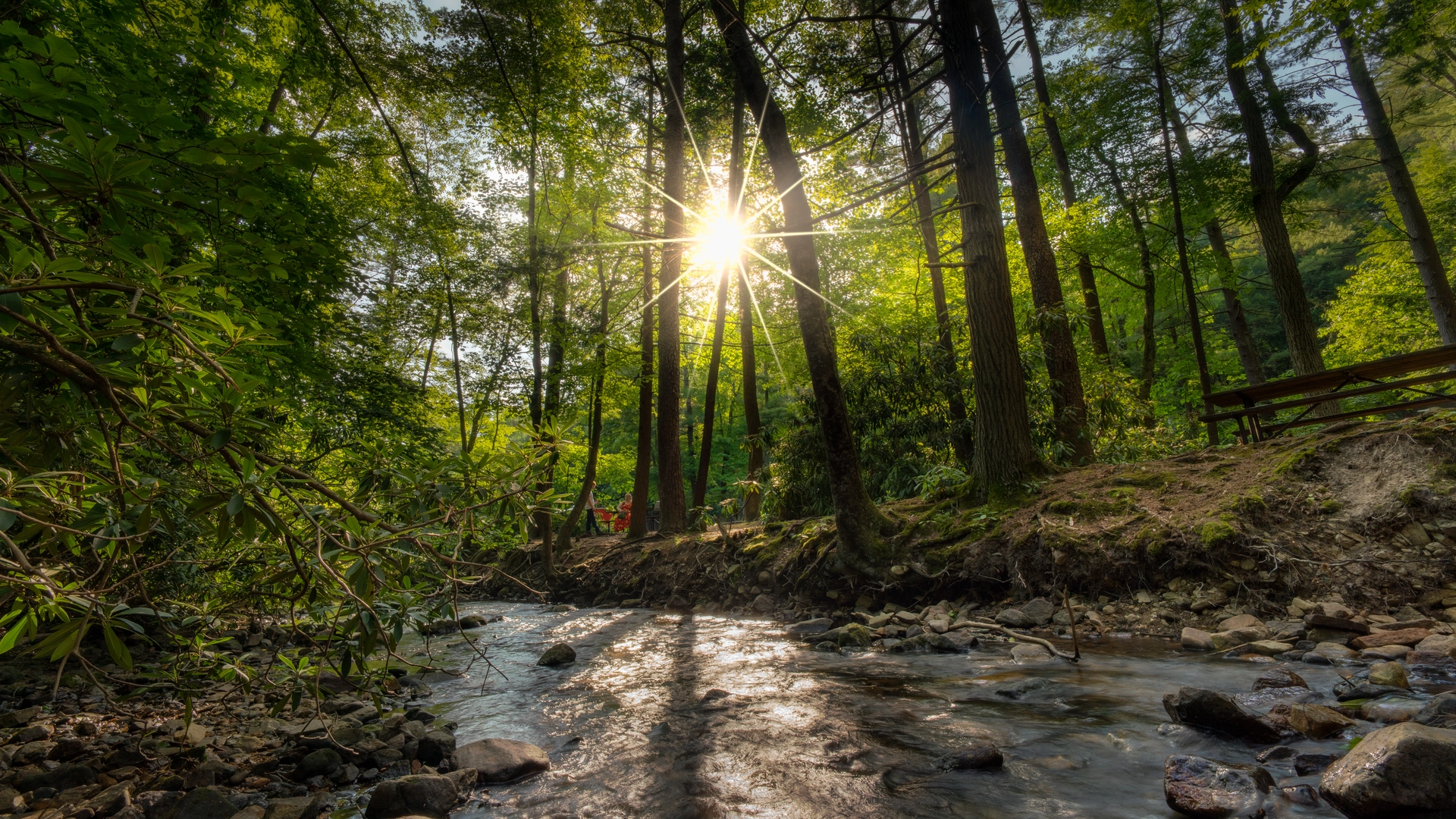 An image depicting the trail Graefenburg Hill via Midland Trail and Charcoal Hearth Trail and its surrounding area.
