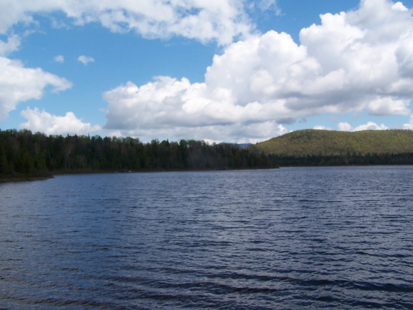An image depicting the trail Cedar Hill and Chickering Lake Loop via Cheney Pond Trail and its surrounding area.
