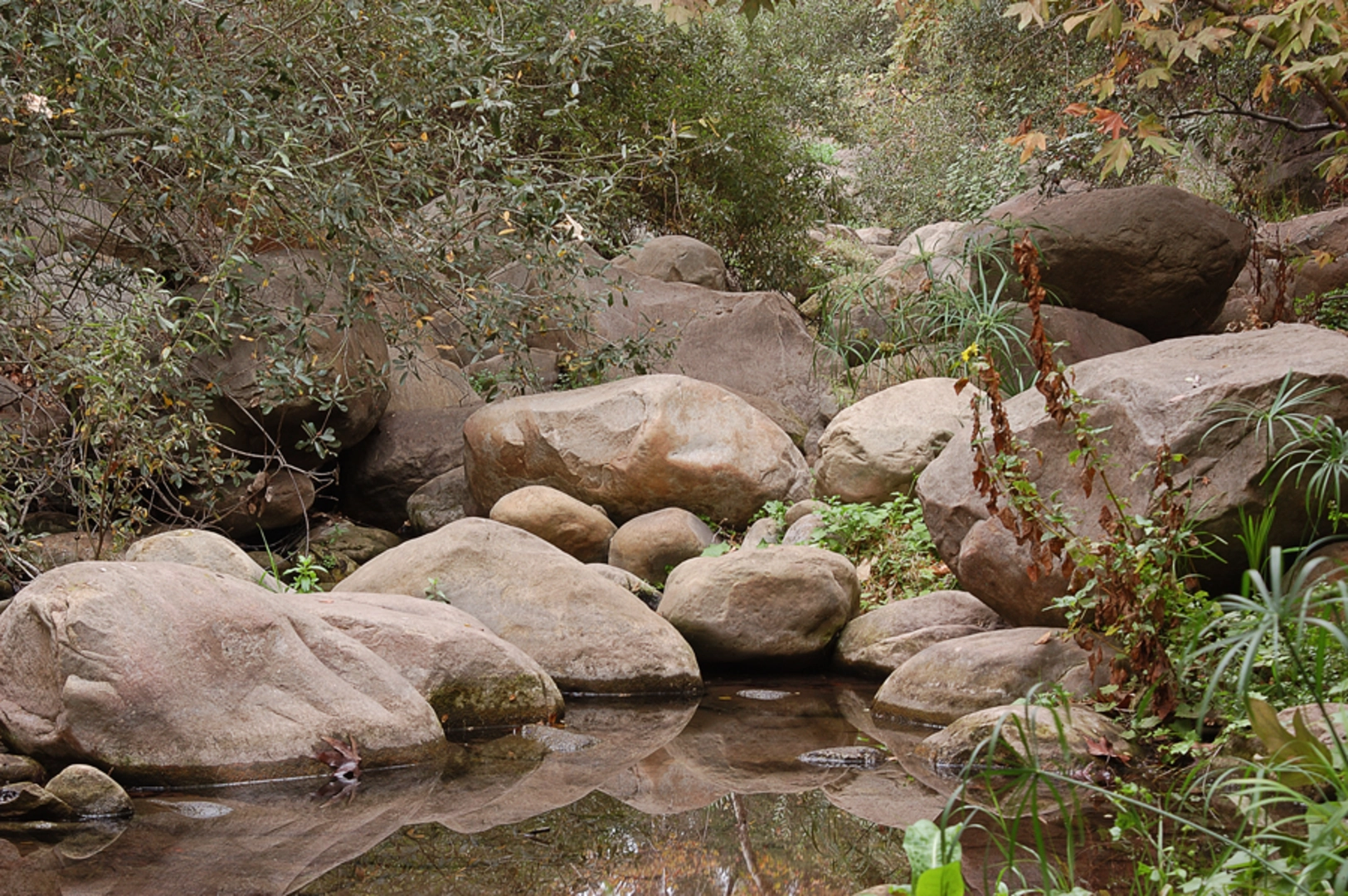 An image depicting the trail Rocky Nook Park Loop and its surrounding area.