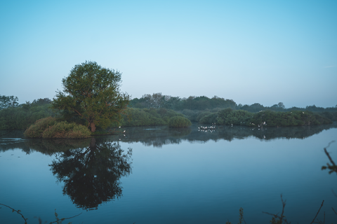 Oostvoornse Meer Loop