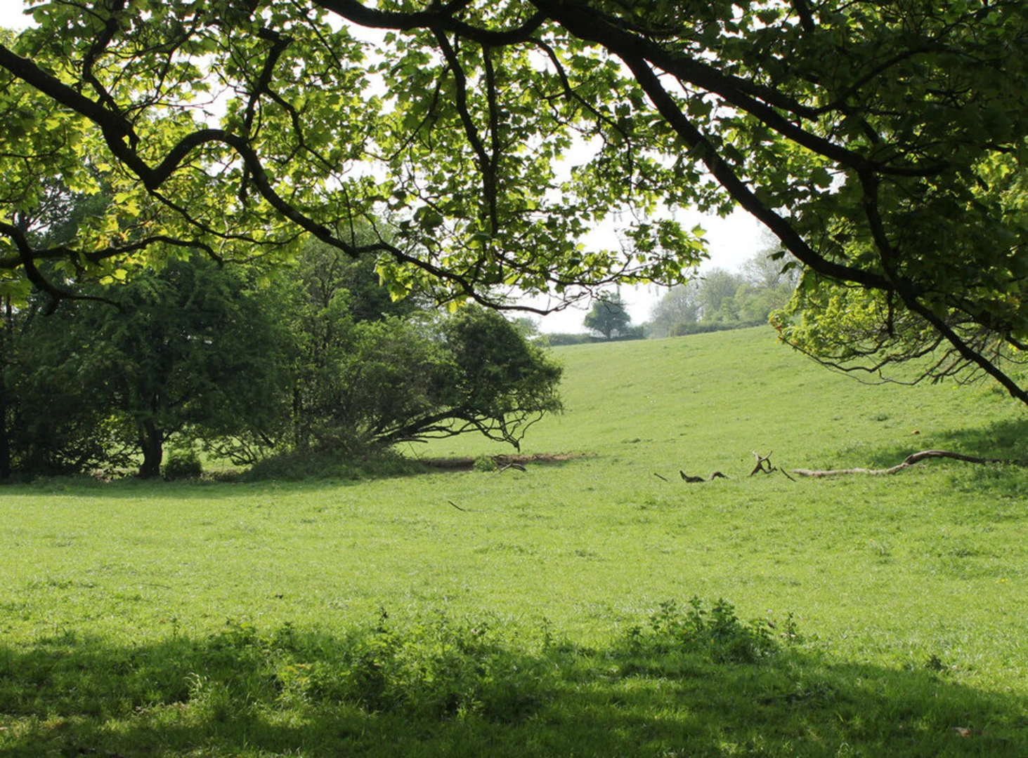 An image depicting the trail Shepton Mallet and its surrounding area.