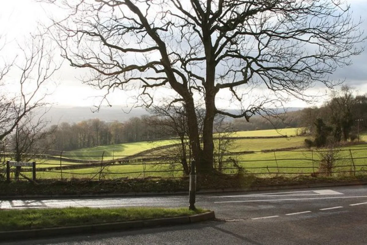 Typesfield Plantation and Belmont Hill