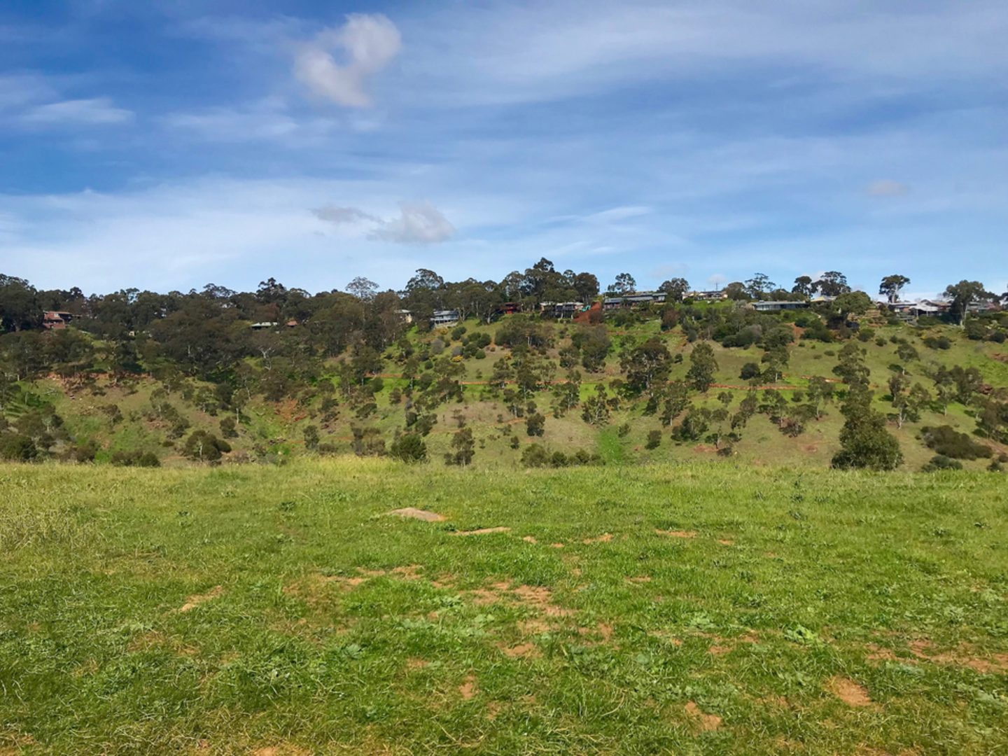 An image depicting the trail Beaumont Circuit Track and its surrounding area.