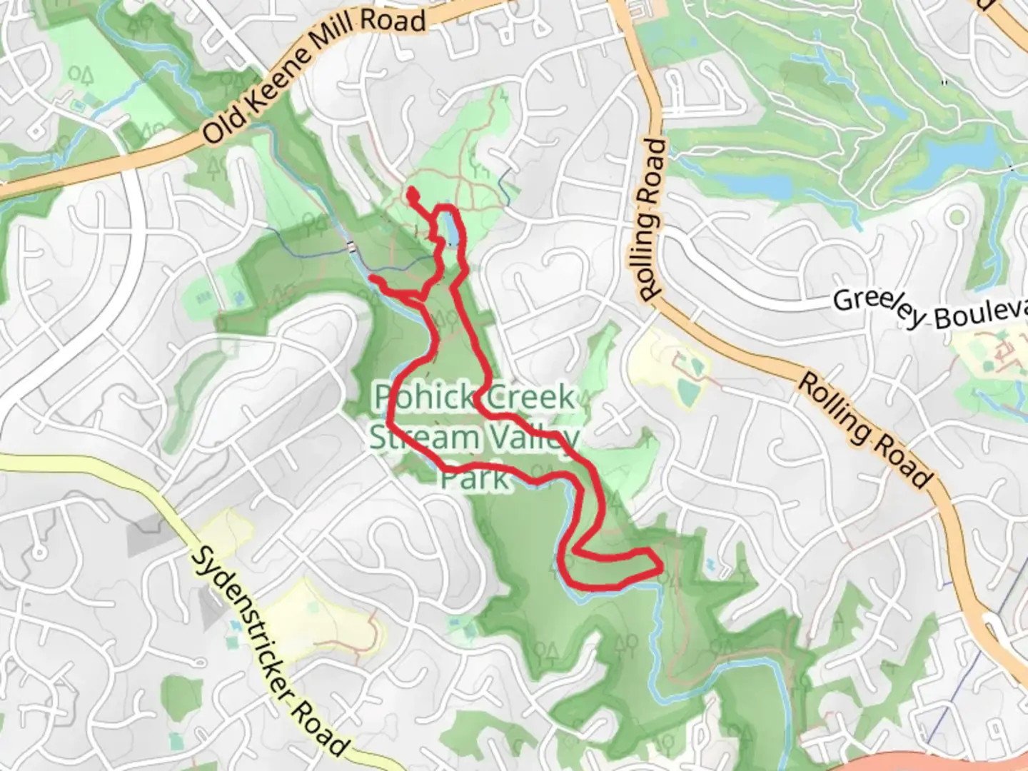 An image depicting the trail Blue Trail Rooty and Yellow Loop Trail and its surrounding area.