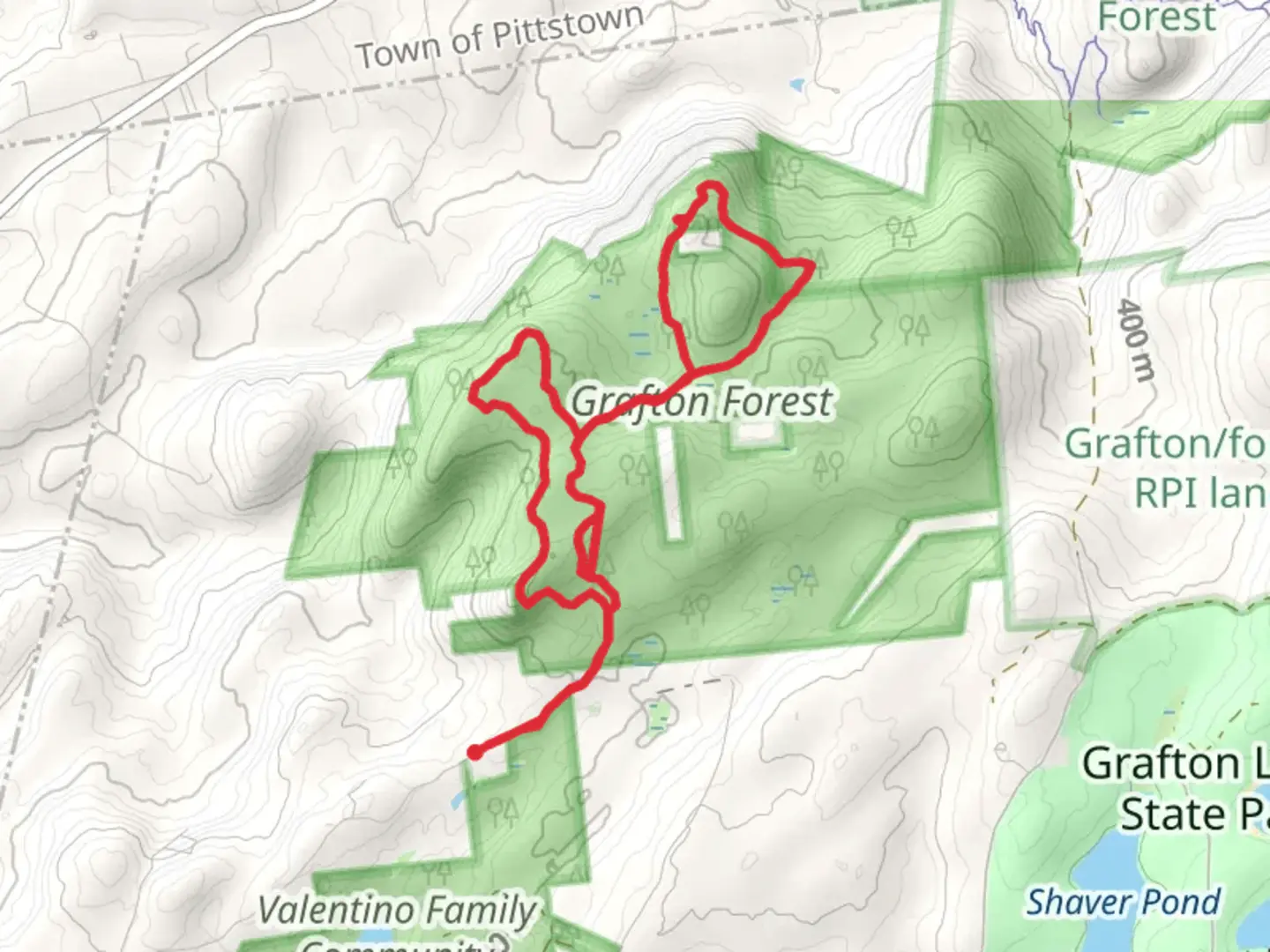 An image depicting the trail Grafton Forest Loop and its surrounding area.