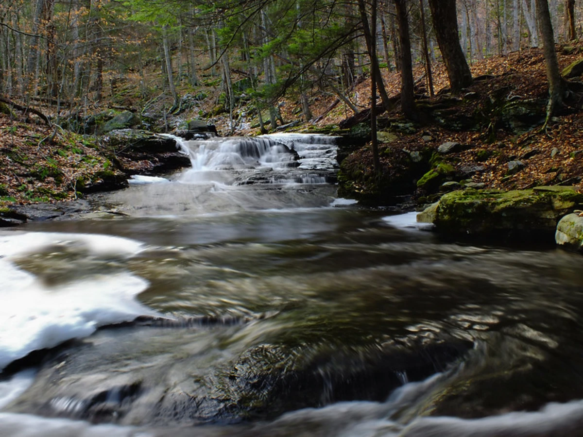 Loyalsock and Canyon Vista Loop Trail