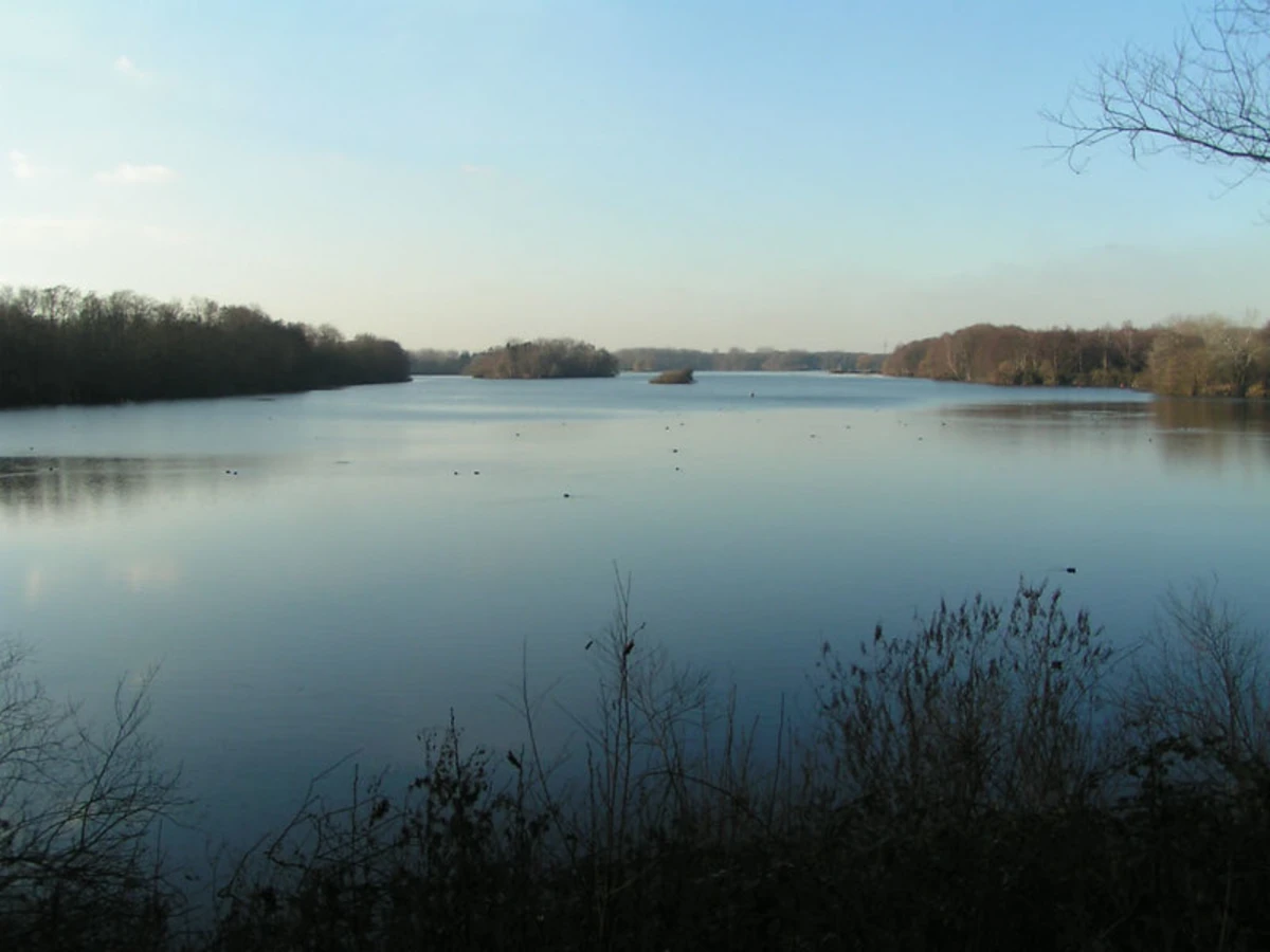 Unterbacher See Loop via Neanderland Steig