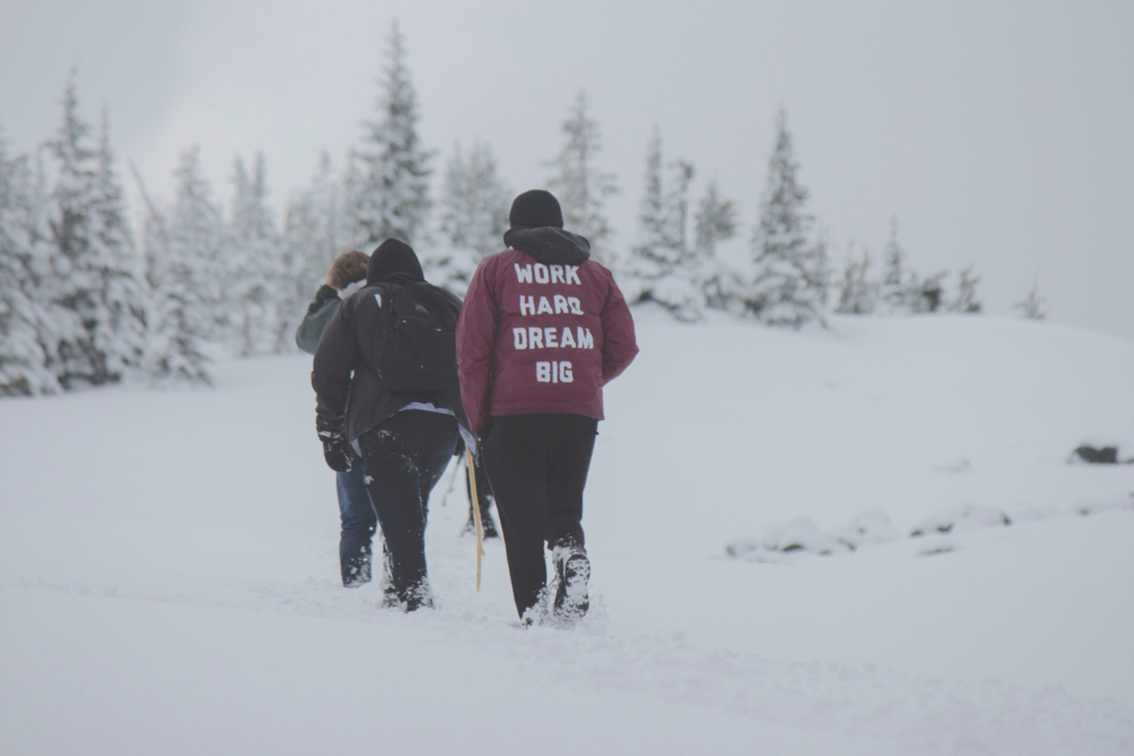 An image depicting the trail Mount Defiance Trail and its surrounding area.