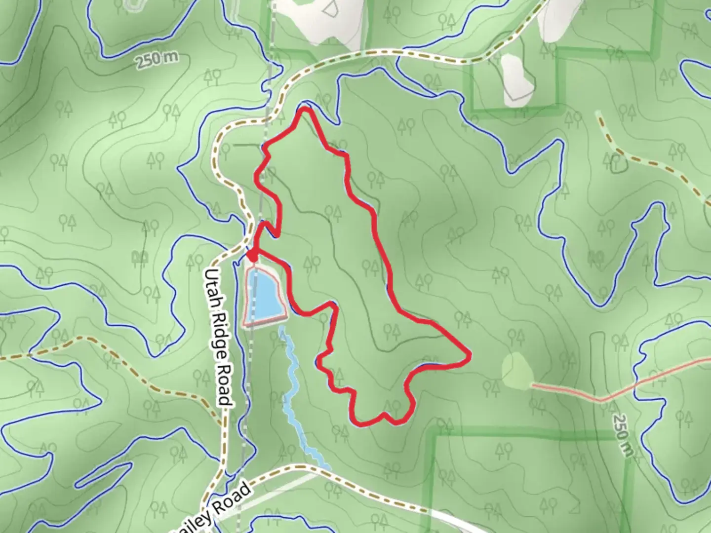 An image depicting the trail Bullfrog Loop Trail and its surrounding area.