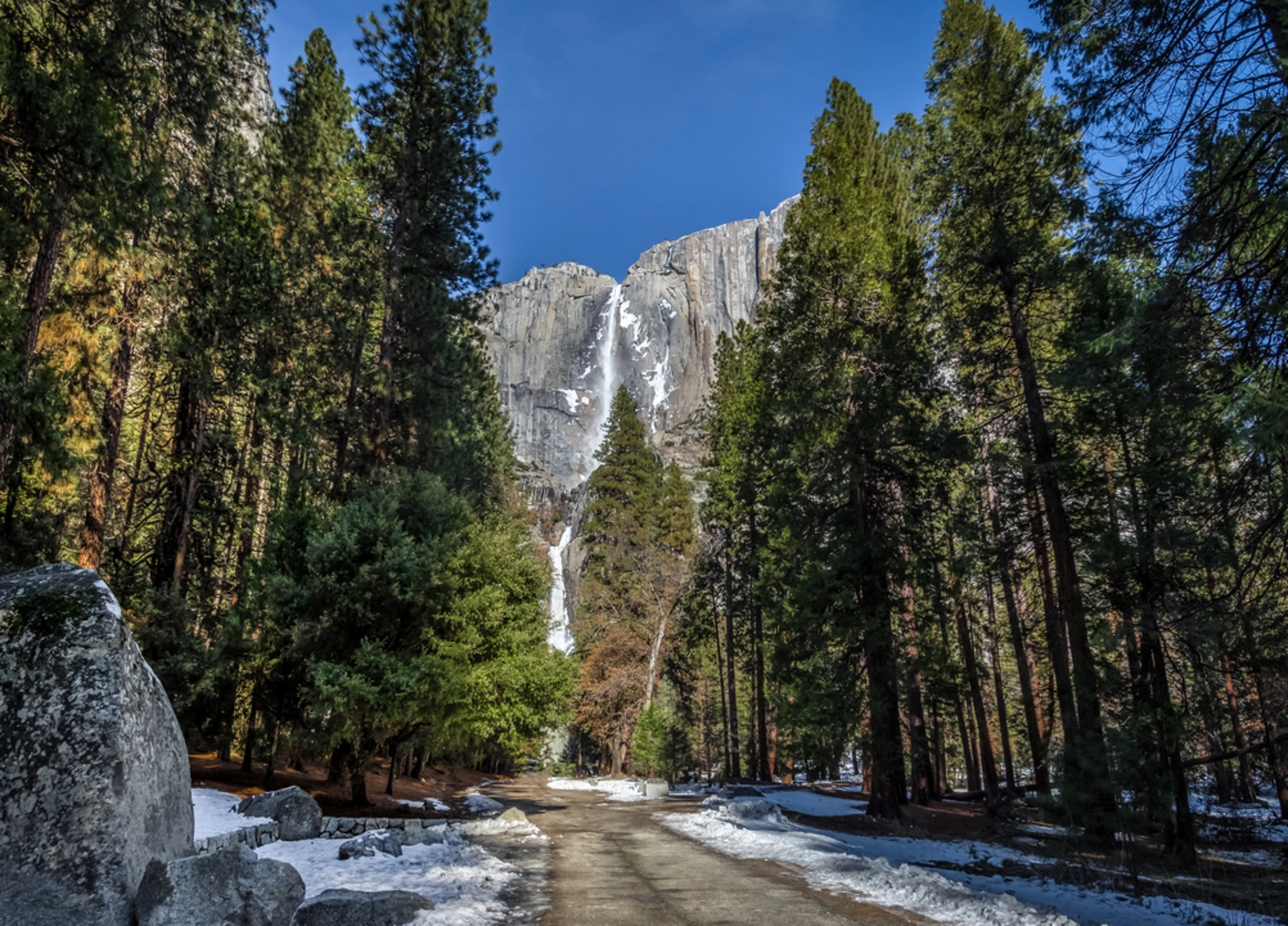 An image depicting the trail Lower Yosemite Falls Trail and its surrounding area.