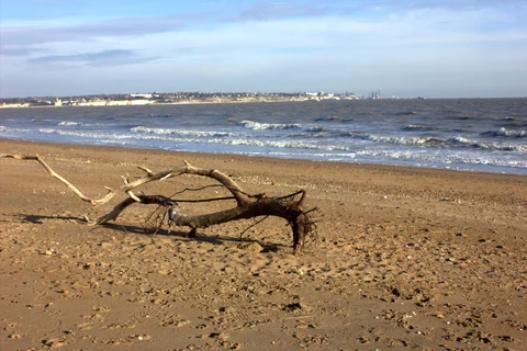 Sholden to Sandwich Bay Loop