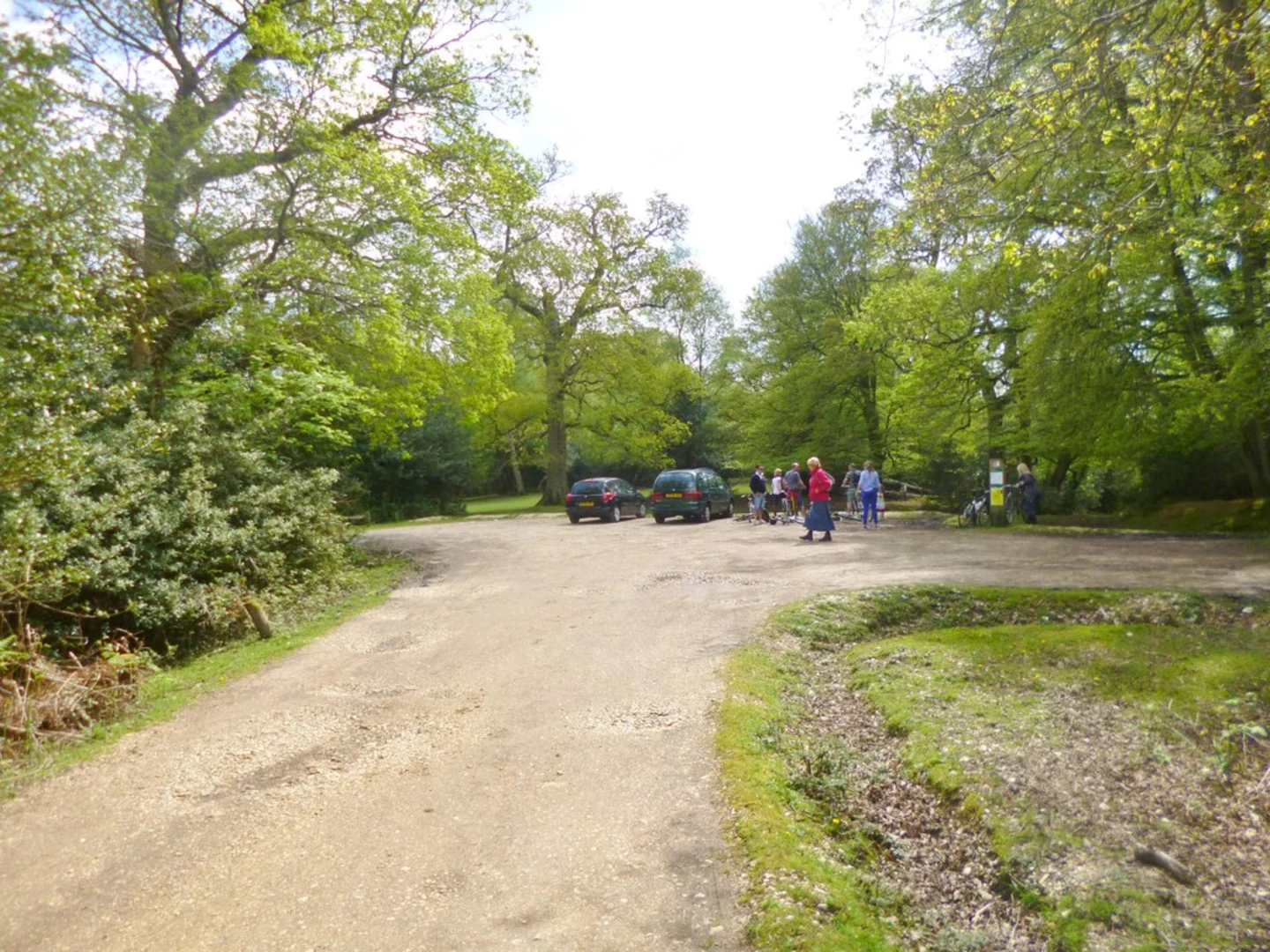 An image depicting the trail Bramshaw Wood Loop and its surrounding area.