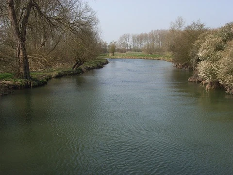 An image depicting the trail River Thames and Shifford Lock Cut Loop and its surrounding area.