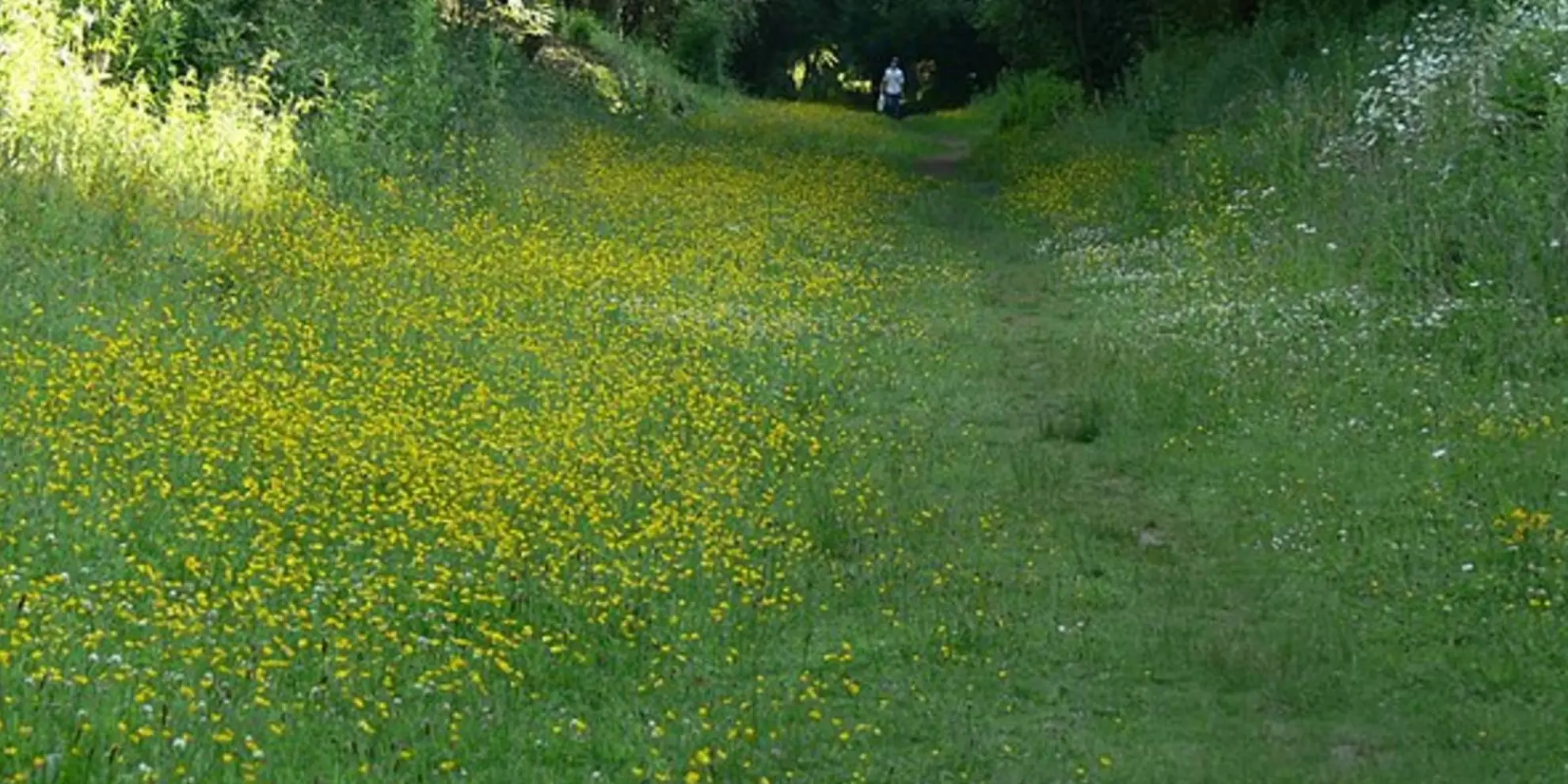 An image depicting the trail Broughton Astley - Leire - Claybrooke Magna and Sharnford and its surrounding area.
