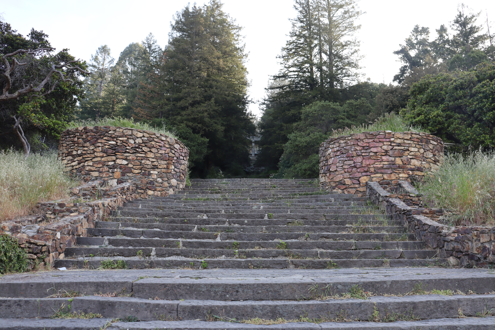 An image depicting the trail Big Trees, Castle Park and Sinawik Loop Trail and its surrounding area.