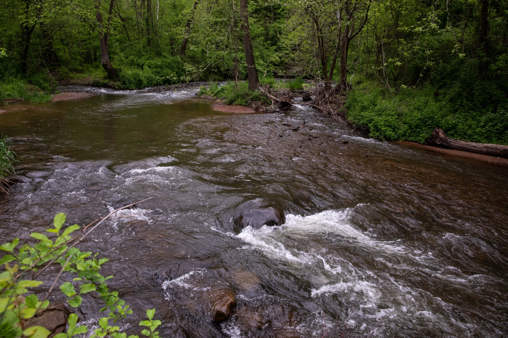 An image depicting the trail Trap Rock Loop Trail and its surrounding area.