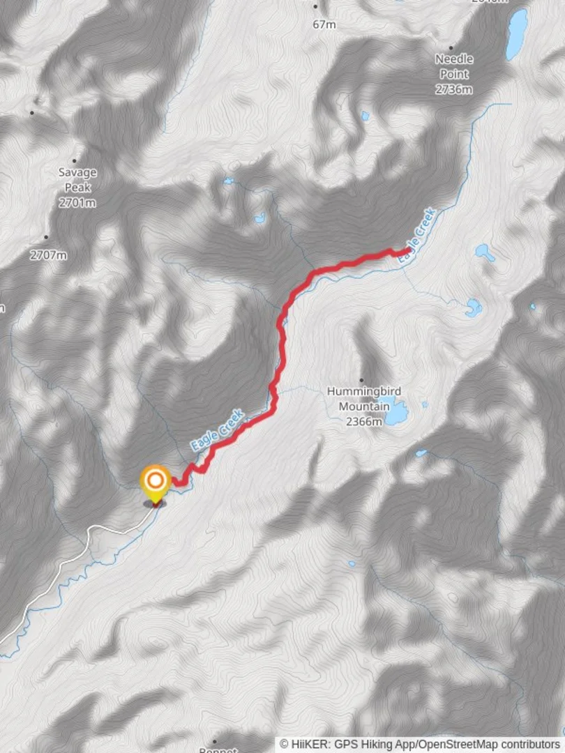 An image depicting the trail Main Eagle Trail and its surrounding area.