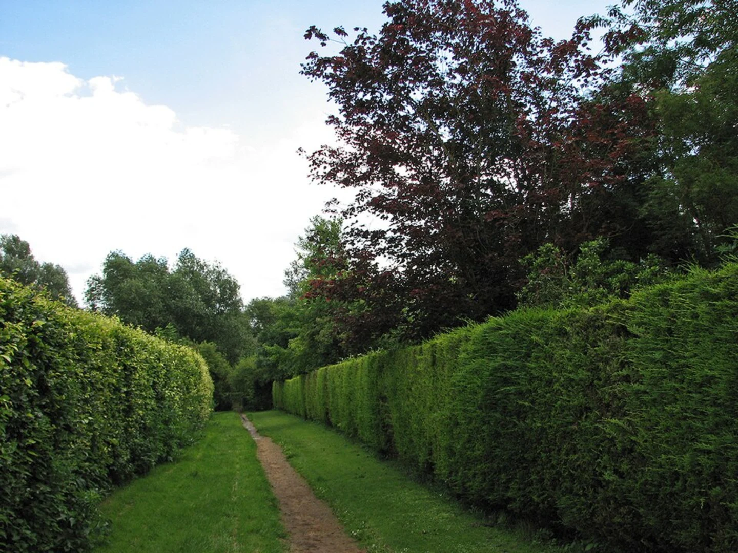 An image depicting the trail L-Moor , Shepreth Loop and its surrounding area.