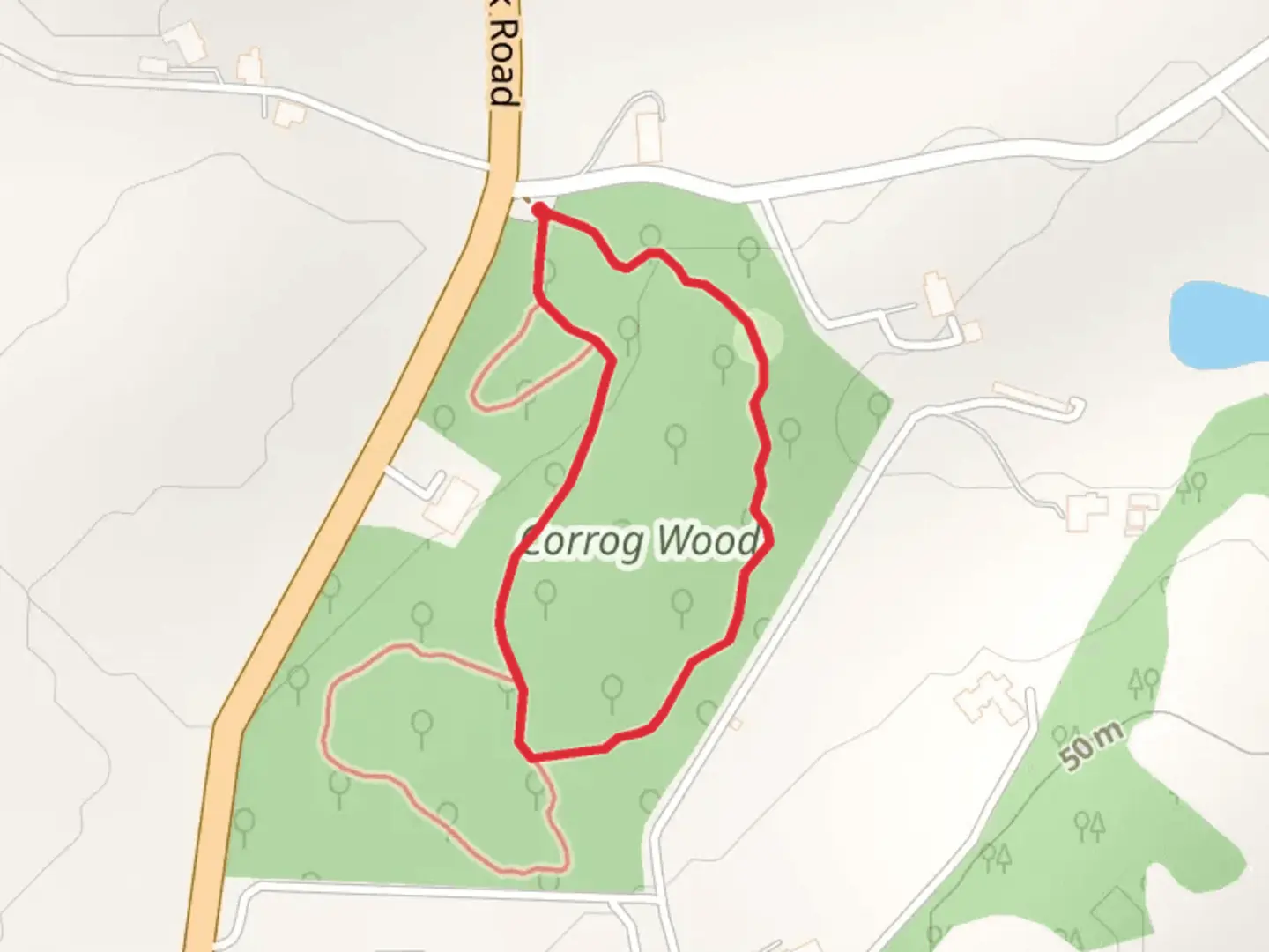 An image depicting the trail Corrog Wood Loop and its surrounding area.