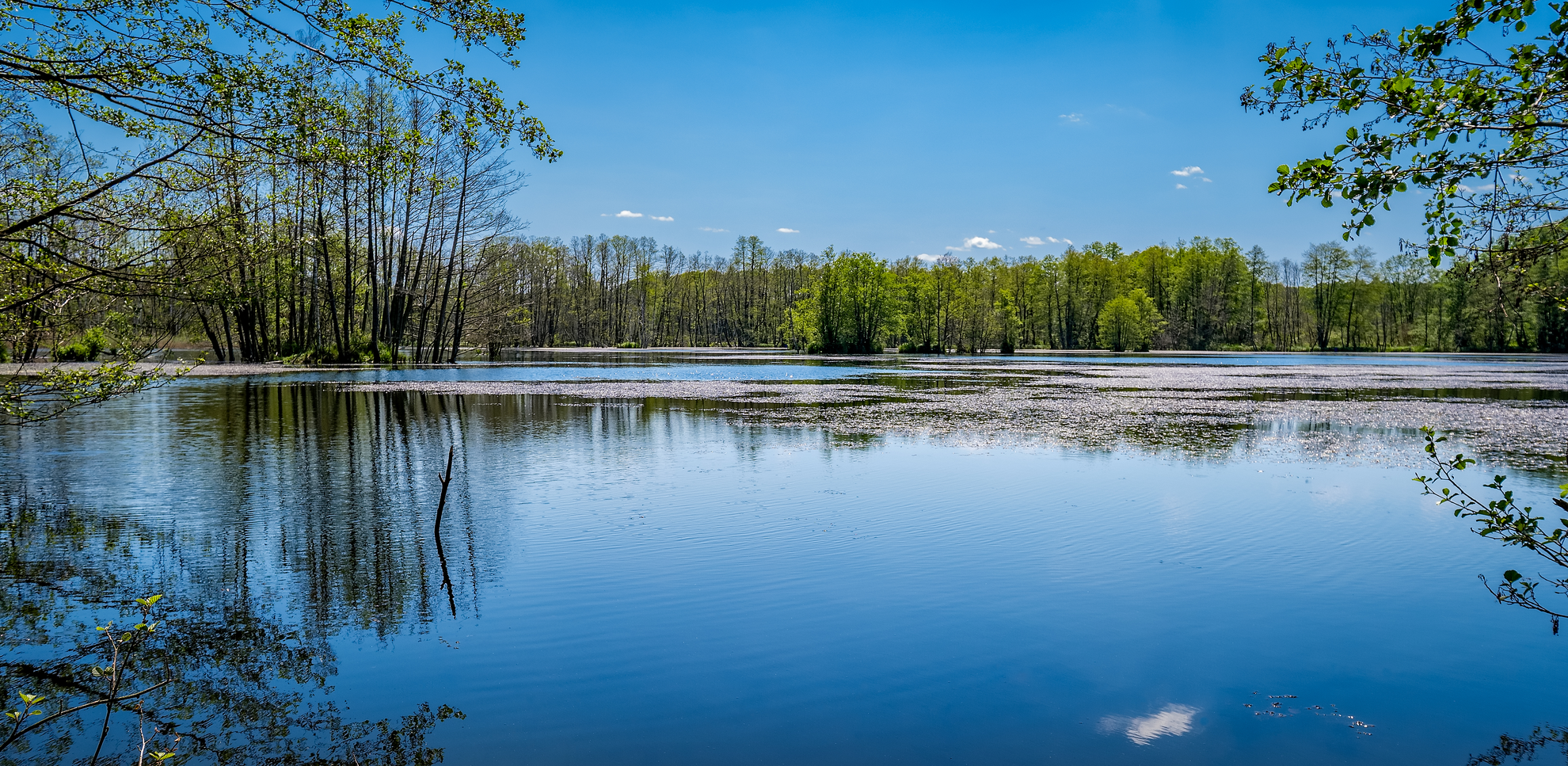 An image depicting the trail 66-Seen-Wanderweg and its surrounding area.