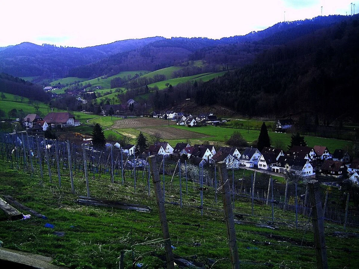 Honigbuck via Seeweg and Neuweg