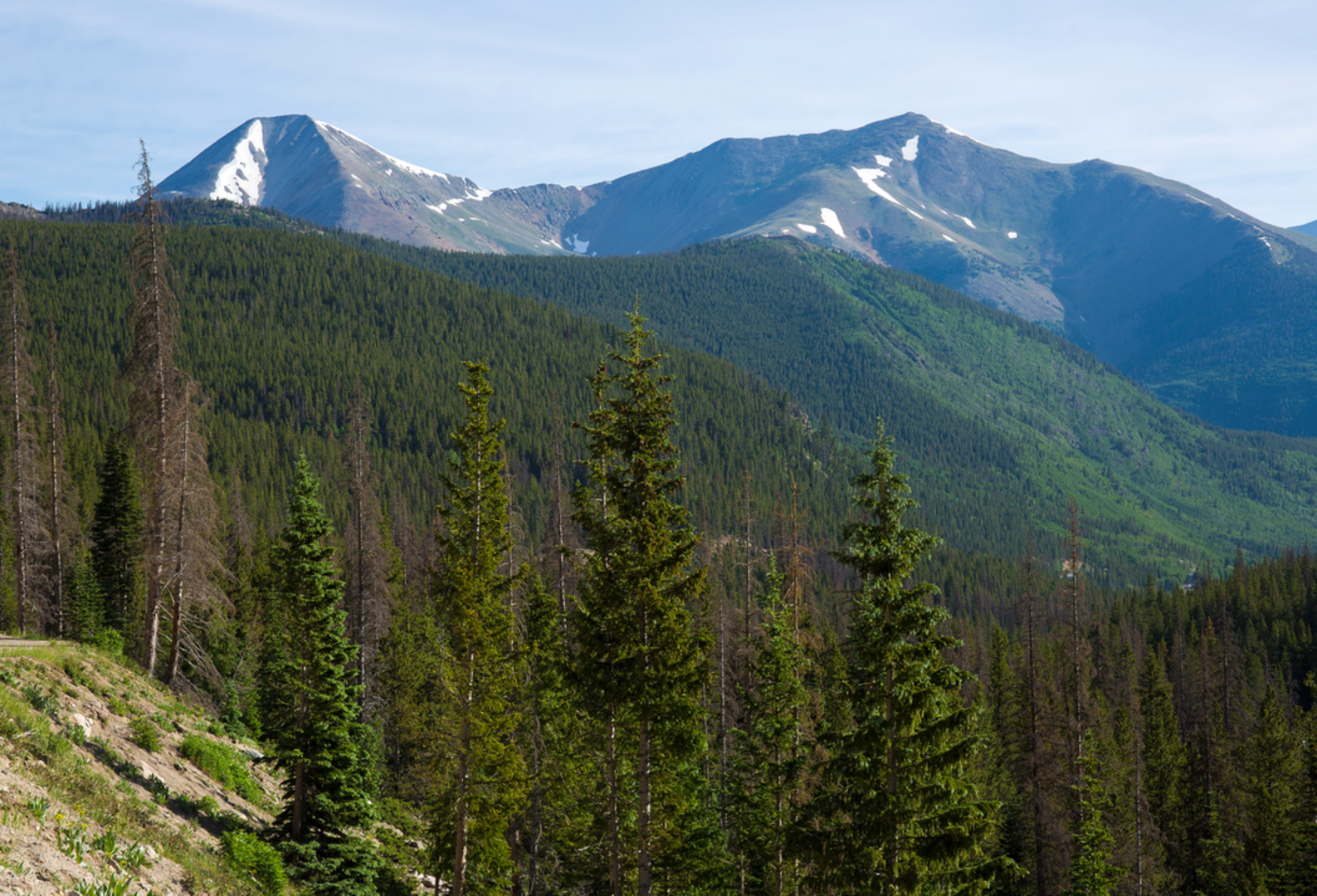 An image depicting the trail Boss Lake Reservoir Trail and its surrounding area.