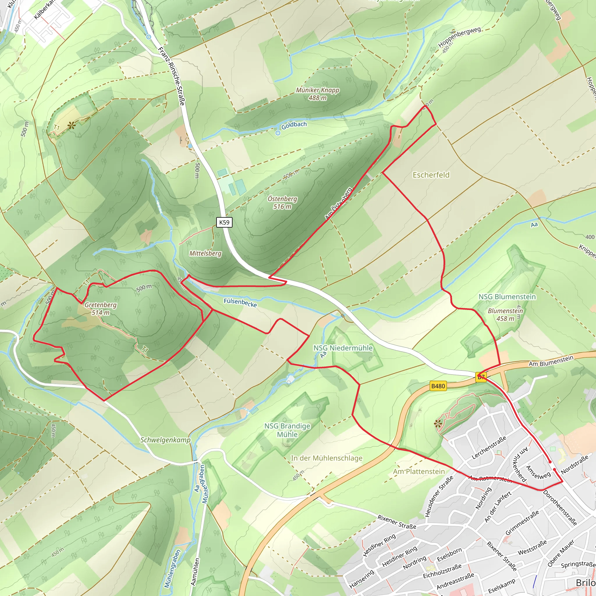 Brilon B5 mobile static map