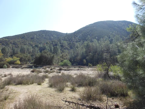 Chalone Creek via Bench Trail and South Wilderness Trail