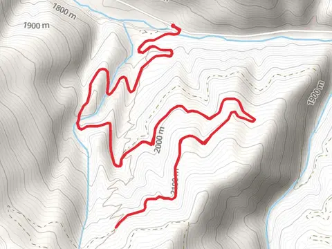 Wicked Creek Trail - Short