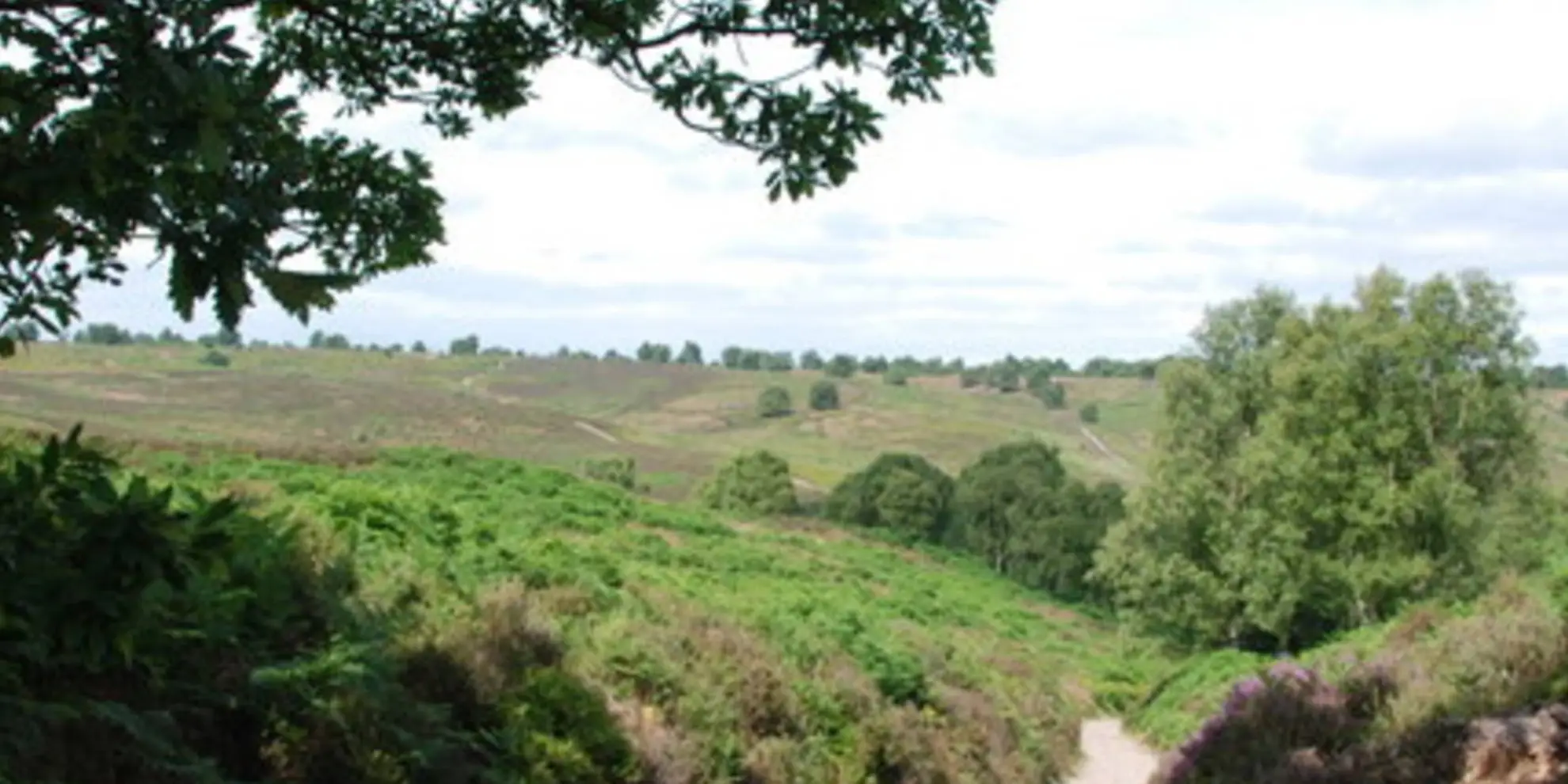 An image depicting the trail Sherbrook Valley from Katyn Memorial and its surrounding area.