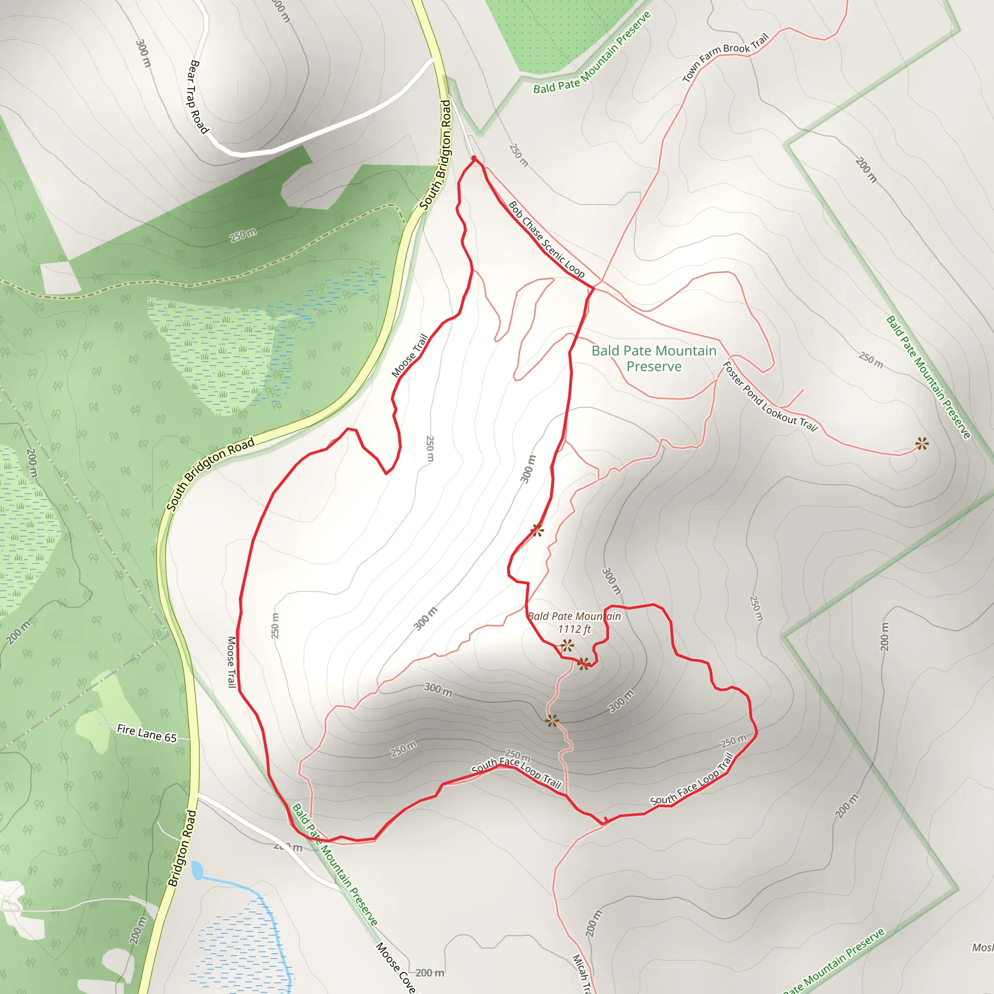 Bald Pate Mountain Loop from South Bridgton Road mobile static map
