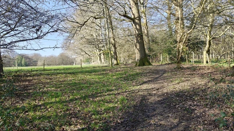 Bromley - Short loop homee from South Street and Biggin Hill