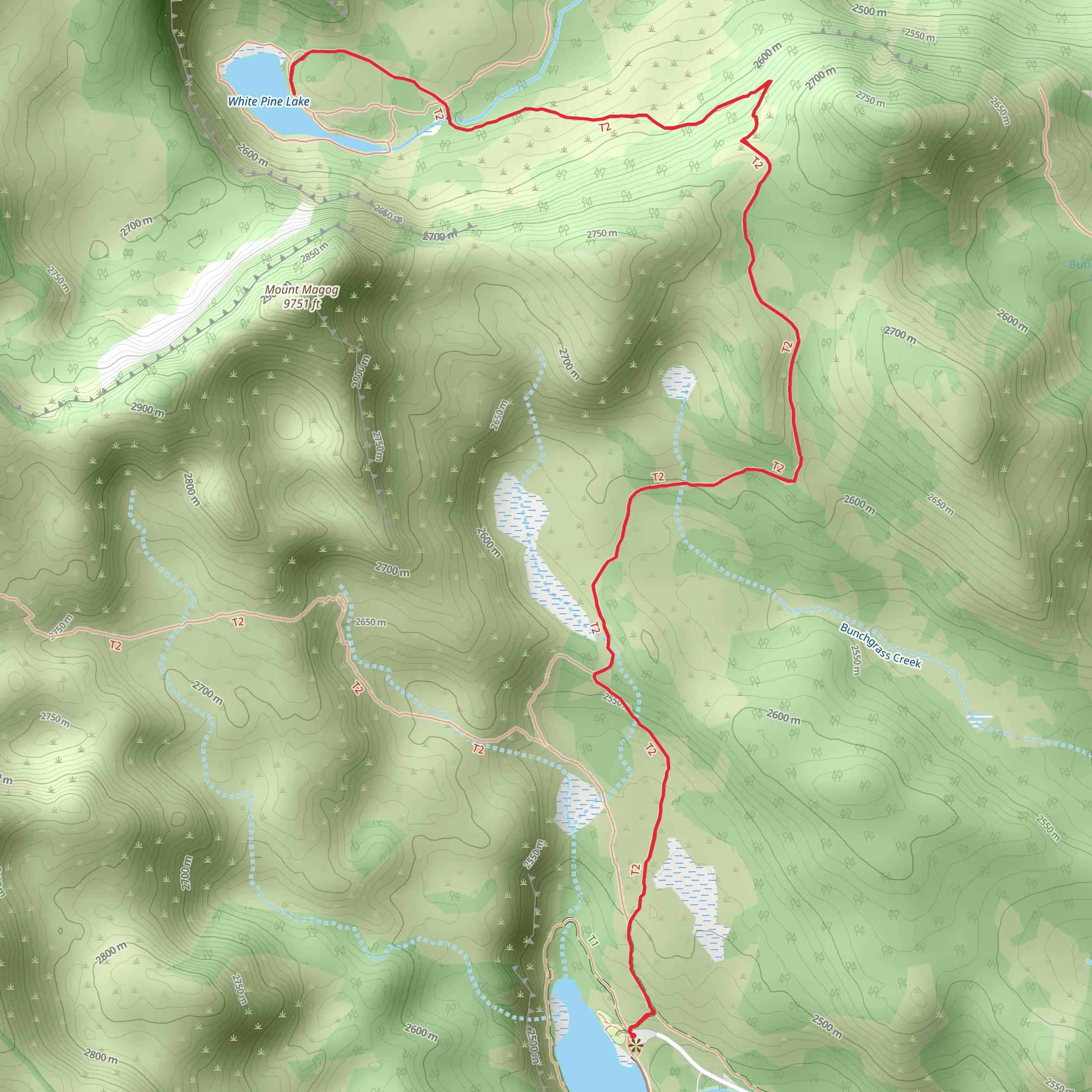 Wild Pine Lake Trail mobile static map