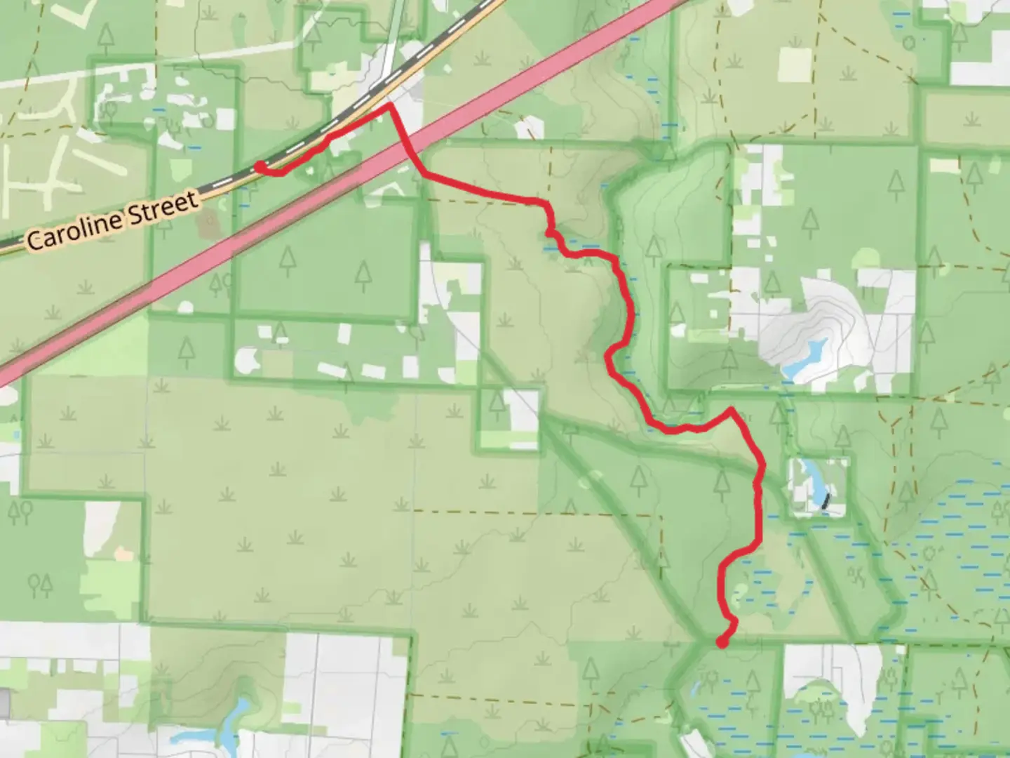 An image depicting the trail Brunt Grocery Creek and its surrounding area.
