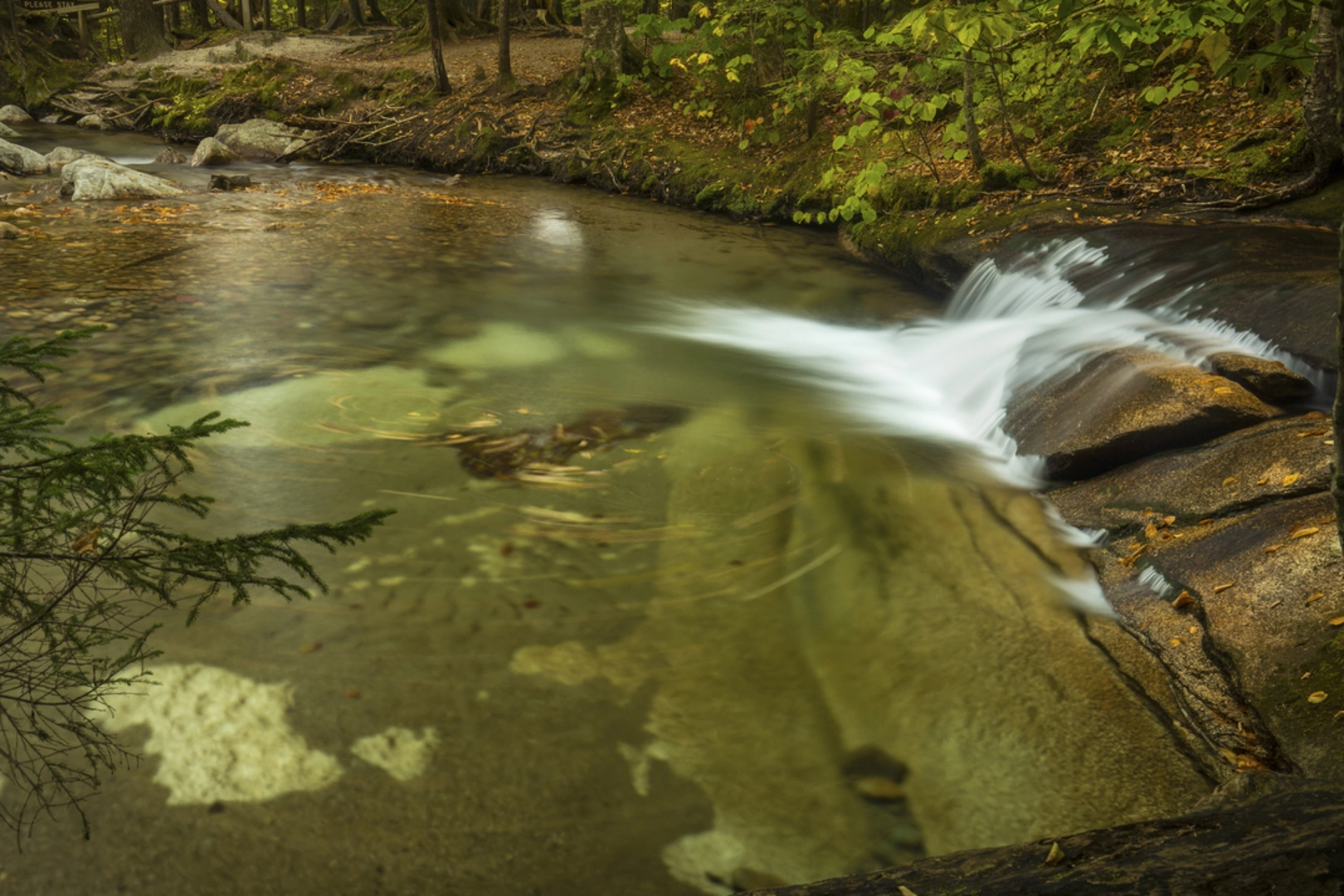 An image depicting the trail Slippery Brook Trail and its surrounding area.