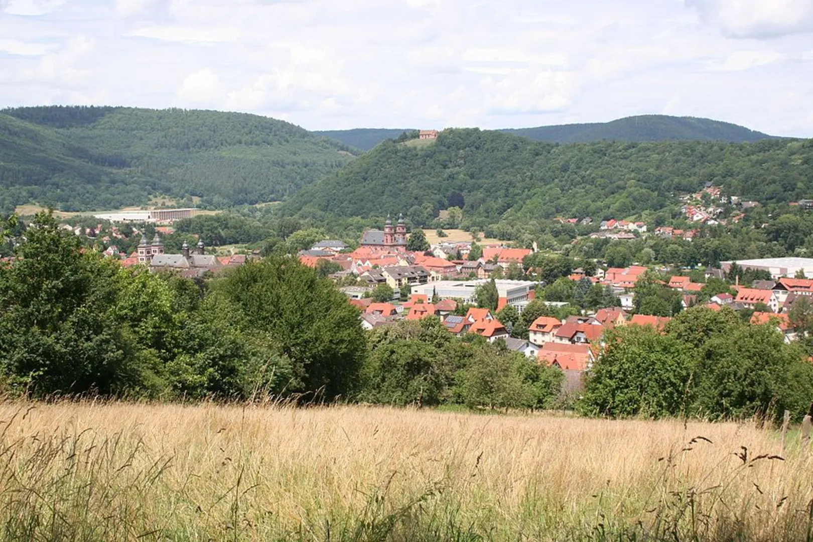 An image depicting the trail Amorbach to Mildenburg Walk via Burg Frankenberg and its surrounding area.