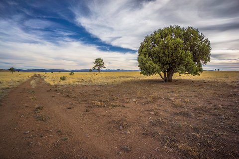 Continental Divide Trail - New Mexico