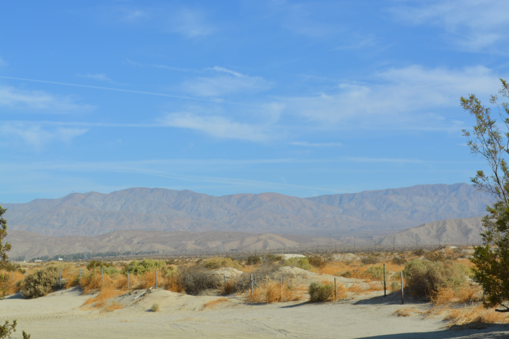 An image depicting the trail Mike Schuler Trail and its surrounding area.