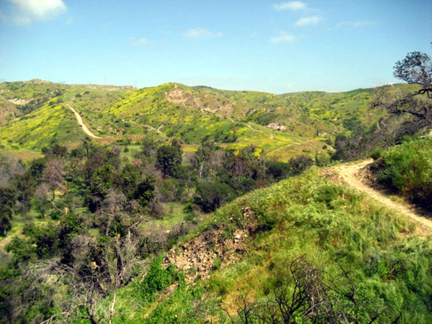 An image depicting the trail Santiago Creek Loop via Yucca Ridge Trail and Bumblebee Trail and its surrounding area.