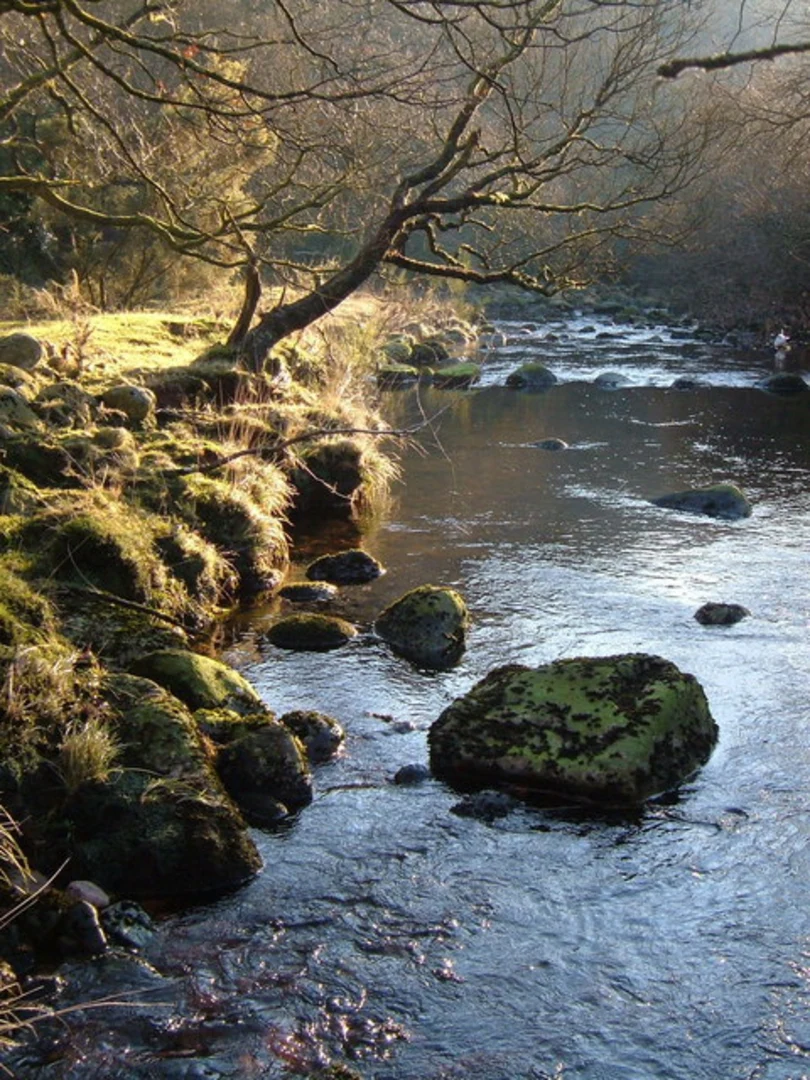 An image depicting the trail Willsworthy Walk and its surrounding area.